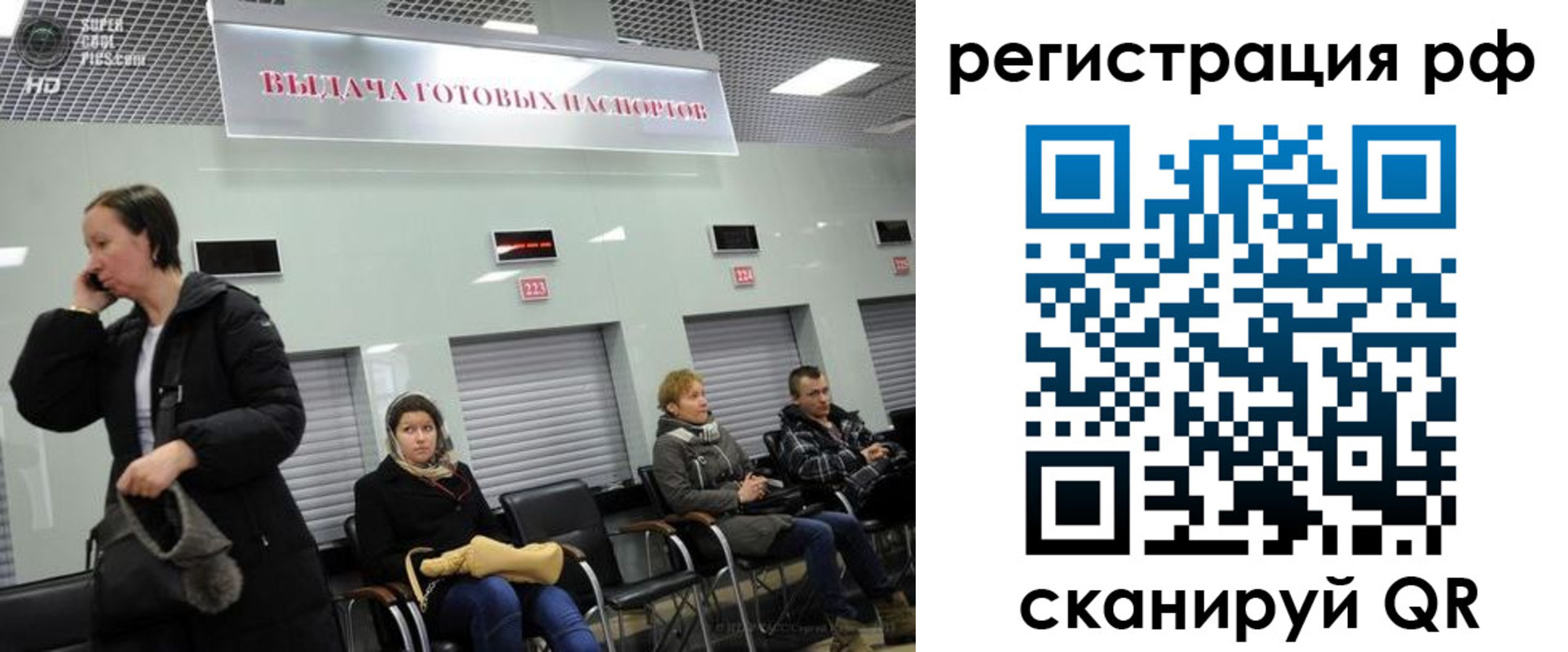 прописка для школы в Елизово