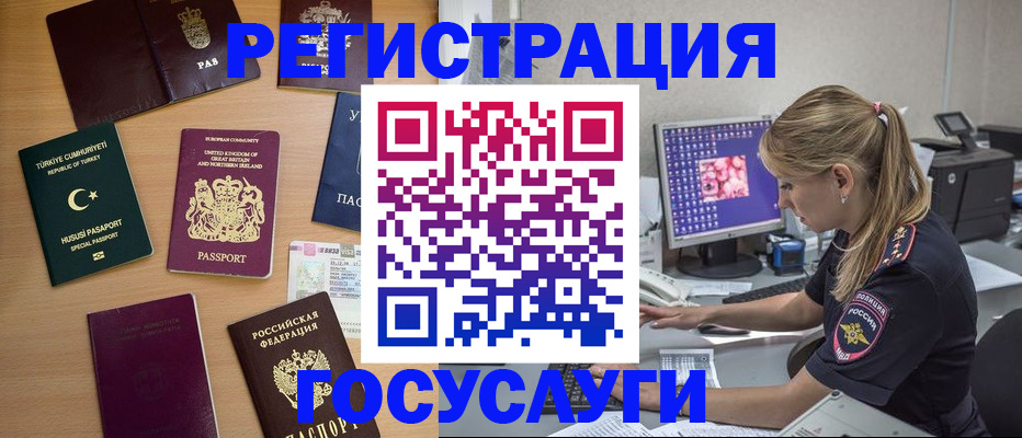 прописка для школы в Елизово