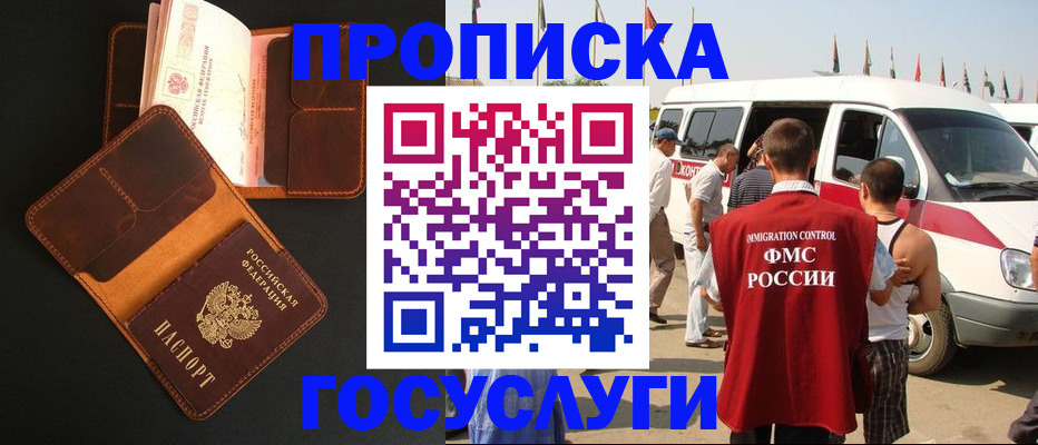 прописка законно в Елизово